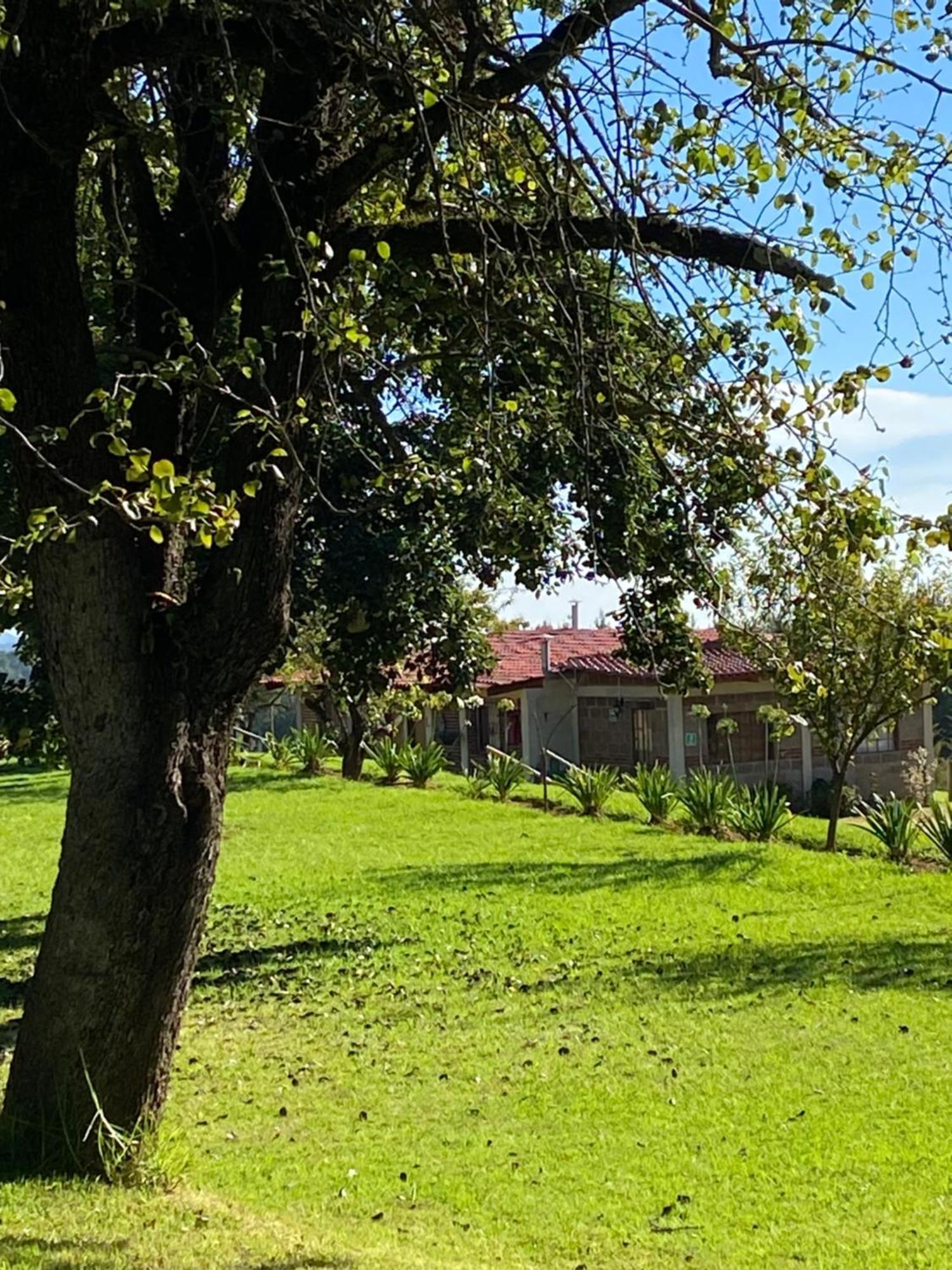 Cabanas Huerta La Mision, Zacatlán Buitenkant foto
